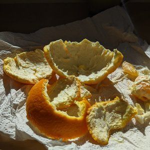 Meet your Posher, Noah